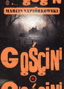 Gościni - Marcin Napiórkowski
