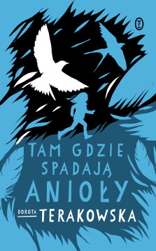 Tam gdzie spadają Anioły - Dorota Terakowska