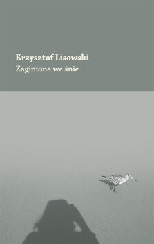 Zaginiona we śnie - Krzysztof Lisowski
